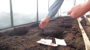 ТЕСТИРУЕМ ЭЛЕКТРО ПОДОГРЕВ ГРУНТА В ТЕПЛИЦЕ, ПОСЕВ РЕ?