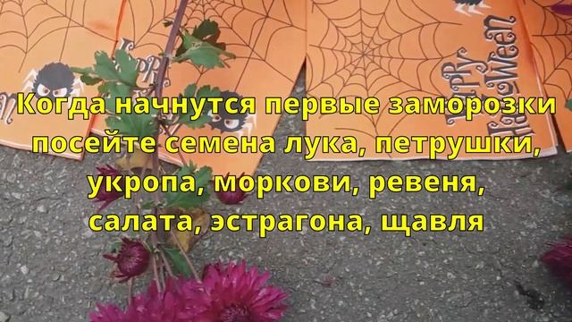 🌙ЛУННЫЙ КАЛЕНДАРЬ САДОВОДА И ОГОРОДНИКА 🍅НА НОЯБРЬ