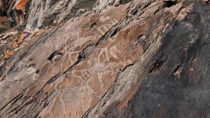 О тех, кто служит делу