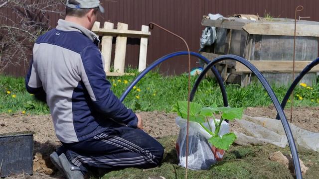 Перерастает рассада? Самое время достать пакет с паке смотреть онлайн
