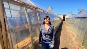 Устройство нашей теплицы своими руками.  Какой каркас