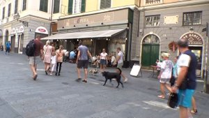 Генуя Прогулка часть 12