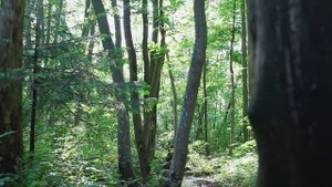 Какой цвет принесёт удачу, каждому знаку зодиака в апр