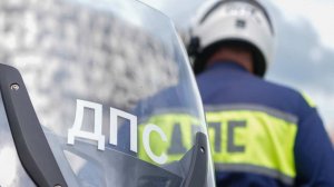 Двое мужчин пытались провезти в "Газели" полтонны наркотиков в Подмосковье