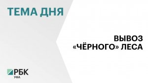 Житель Башкортостана контрабандой вывозил лесоматериалы в Казахстан