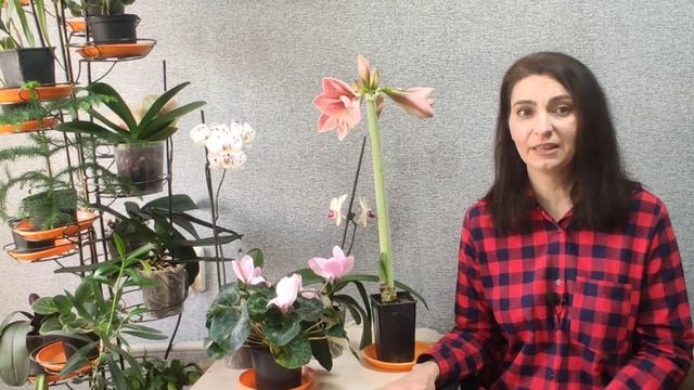 ЛУННЫЙ посевной календарь на АПРЕЛЬ 2021 смотреть онлайн