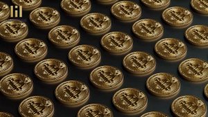 Общая информация об острове Маврикий | Недостатки и до