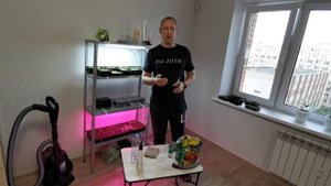 Что нужно для выращивания микрозелени - Зелень на подо