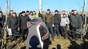 Веретеновидная крона  Обрезка 4 х летней яблони