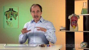 Водоросли. Видеоурок по биологии 5 класс