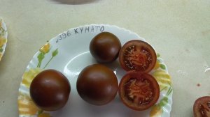 ТОМАТ КУМАТО. №396. ДЕГУСТАЦИЯ. Ольга Чернова.