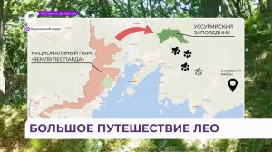 Леопард Лео 260M осваивает Ольгинский район