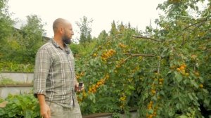 Сад Мечты в Сибирской тайге