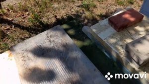 КОНЕЦ СЕЗОНА 2025 #bee #пасека #пчелы #пчеловодство