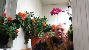 Наше регенеративное земледелие теперь у всех  и всегд?