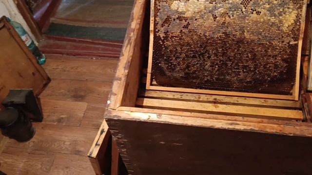 Как сохранить сушь. смотреть онлайн