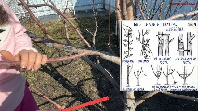 КЕРБОВКА. СЕКРЕТНЫЙ СПОСОБ СУПЕР УРОЖАЯ.