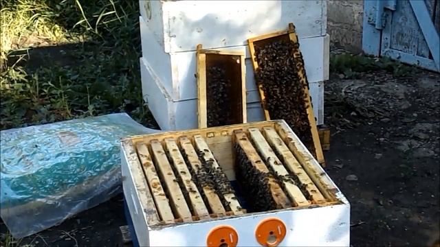 Пешец едет к новому владельцу смотреть онлайн