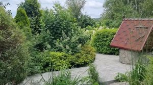 Прогулка по саду: август 2025 год.