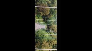 Куартчал поездка из Сухума, Абхазия. 09.09.25. Наводнение.mp4