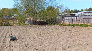 Посадка картофеля моим новым методом