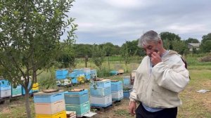 Сокращение  и изоляция маток в зиму.