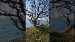 ГЕЛЕНДЖИК, ЗИМА 2024, ПОГОДА В СЕРЕДИНЕ ДЕКАБРЯ ДО ПОХОЛ?