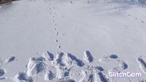 Опорное колесо к тяжолому мотоблоку Заря 8 лс