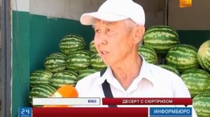 Вредитель "дынная муха" выявлен уже в восьми районах Ю?