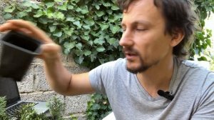 Создание питомника хвойных растений с минимальными в?