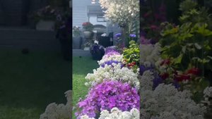 МОЙ САД В АНГЛИИ