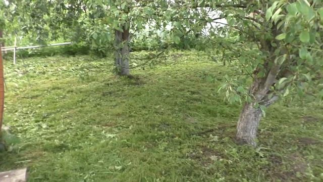 Планировка комнаты, обзор огорода ,шашлыки. смотреть онлайн