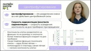 Методы молекулярной и клеточной биологии. Видеоурок 3.