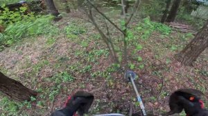 Пример работы по спилу кустарника Stihl fs561