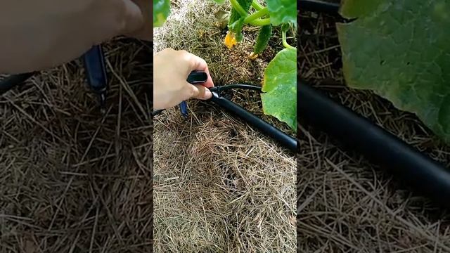 Установка капельного полива ЖУК смотреть онлайн