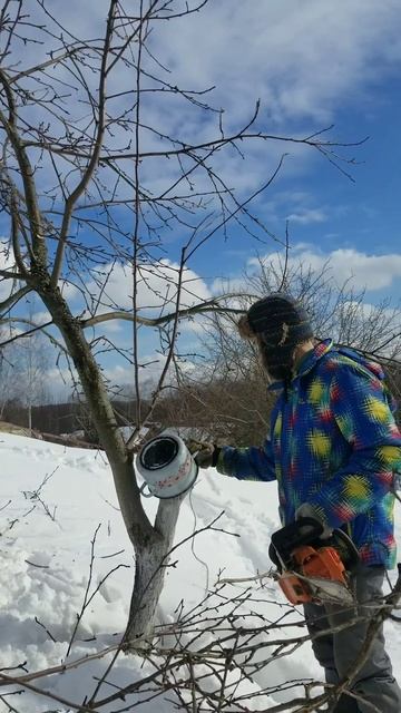 Омолаживаем старый сад смотреть онлайн