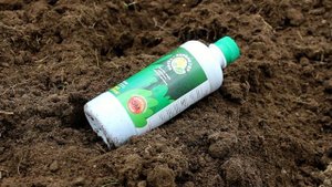 Готовим теплицу, почву и высаживаем рассаду томатов н?