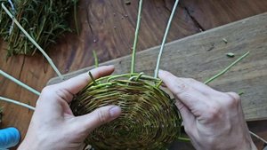 Плакучая ива после обрезки пошла в дело! Быстрая и оче?