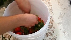 Квашеные помидоры в домашних условиях