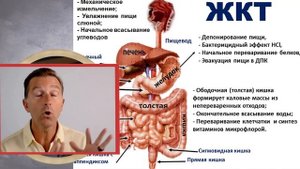 Масло чёрного тмина – лекарство от всех болезней, кро?