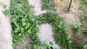 Тример акумуляторний Procraft PTA24 - найменший акамуляторн?