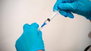 Вакцинацию от клещевого энцефалита могут ввести в Мурманской области