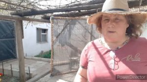 ландшафтный  дизайн-мне нужны лилейники.Дворик мечты ?