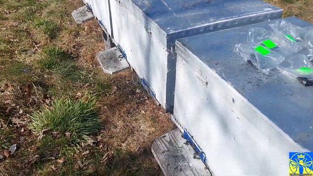 Ч.3 Матководство (22.03.25)🌞🐝 смотреть онлайн