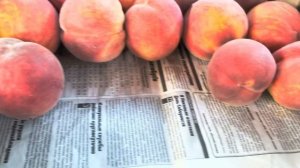 Персик САНРАЙЗ (помилково назвав Харнас) - середній те?