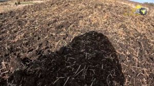 Дисковая Борона БД-6х2ПБ | РАБОТА В ПОЛЕ | Радогост-Маш