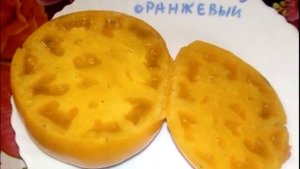 Томат Сахар оранжевый