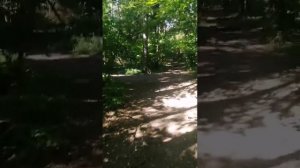 дорога на пляж 2 часть