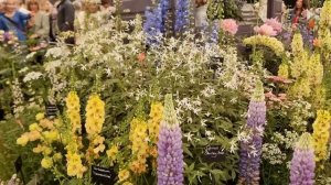 Выставка Цветов в Челси Лондон  -  Chelsea Flower Show 2025 London