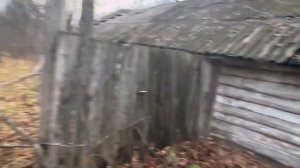 ЗАБРОШЕННАЯ ПАСЕКА В ЛЕСУ